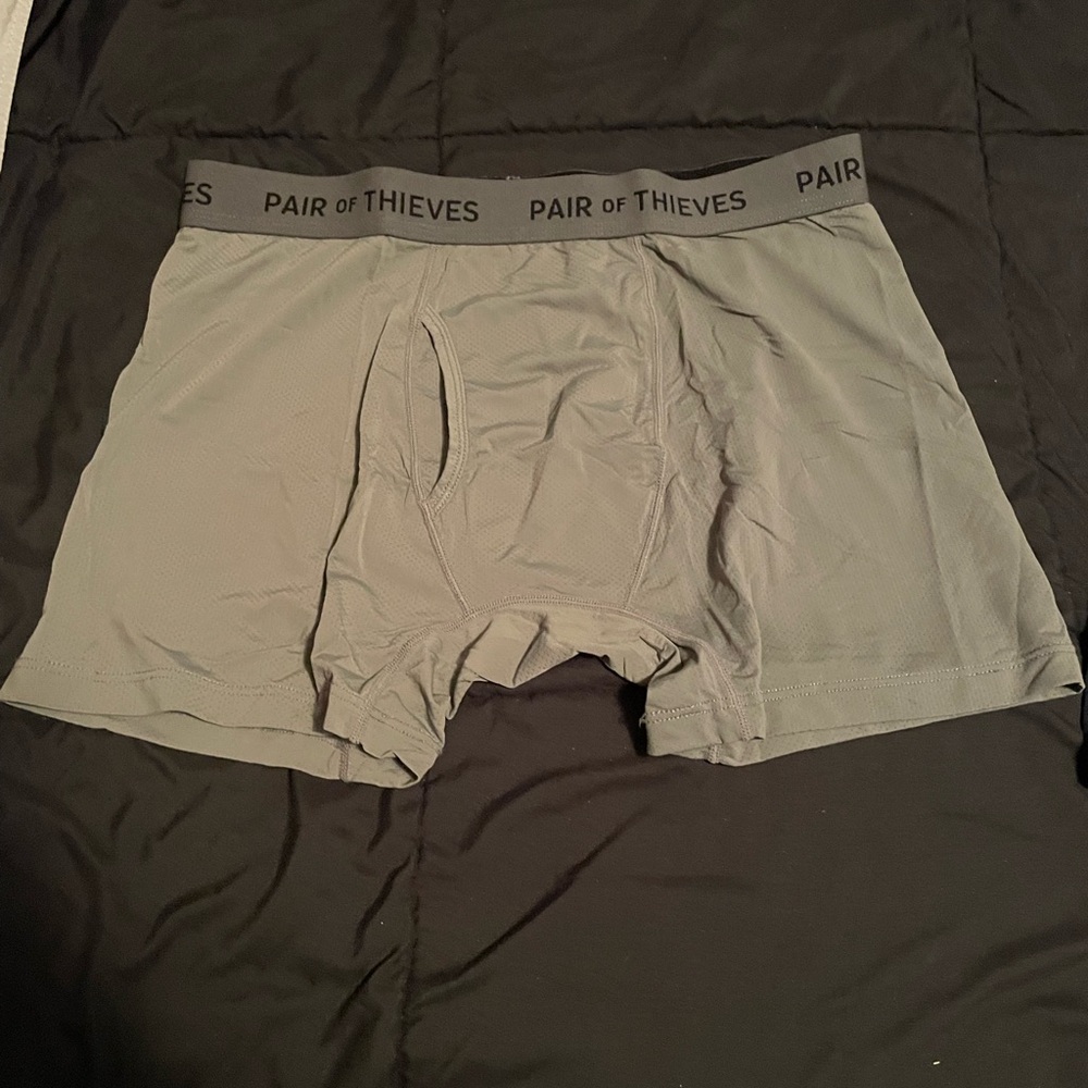 Pair of Thieves Men's Boxer Briefs in Gray